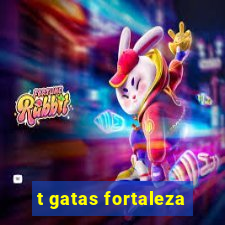 t gatas fortaleza